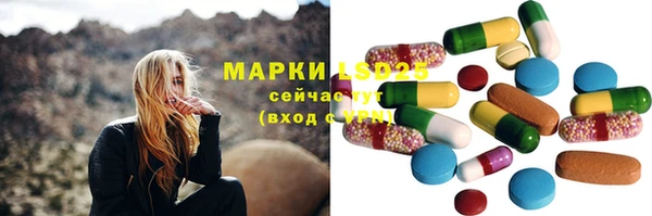 амф Алексин