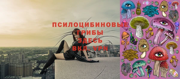 амф Алексин