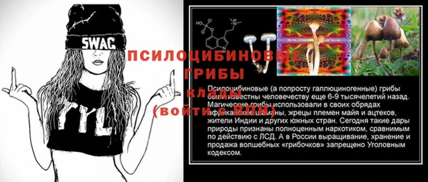 соль курить ск Алзамай