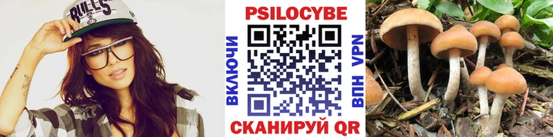 наркота  omg   Галлюциногенные грибы Psilocybine cubensis  Аргун 