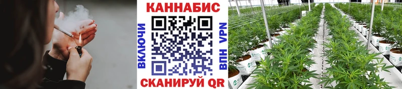 МАРИХУАНА SATIVA & INDICA  Аргун 